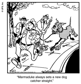 marmaduke